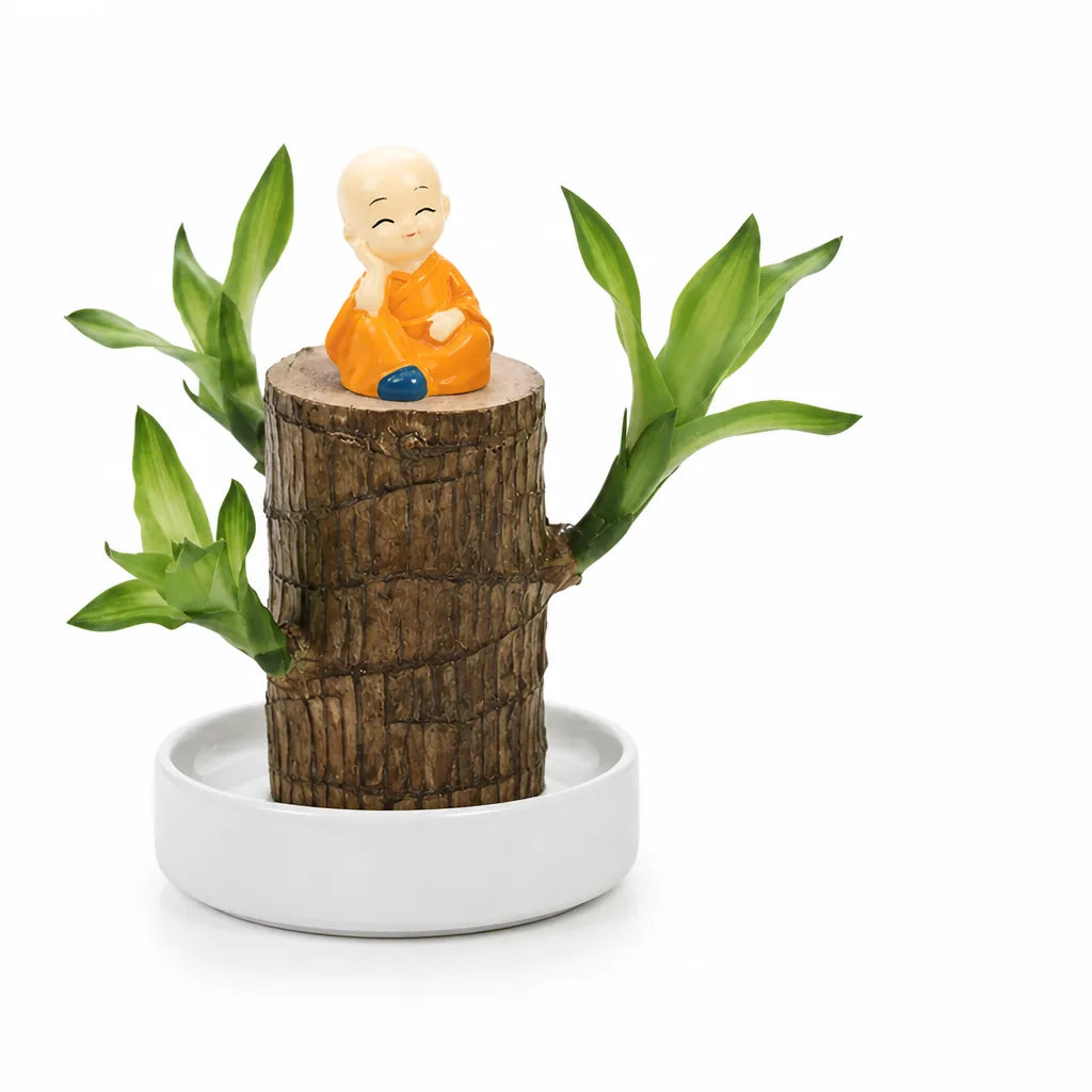 Desk Plant Air-Purifying Low-Light Wooden Planter