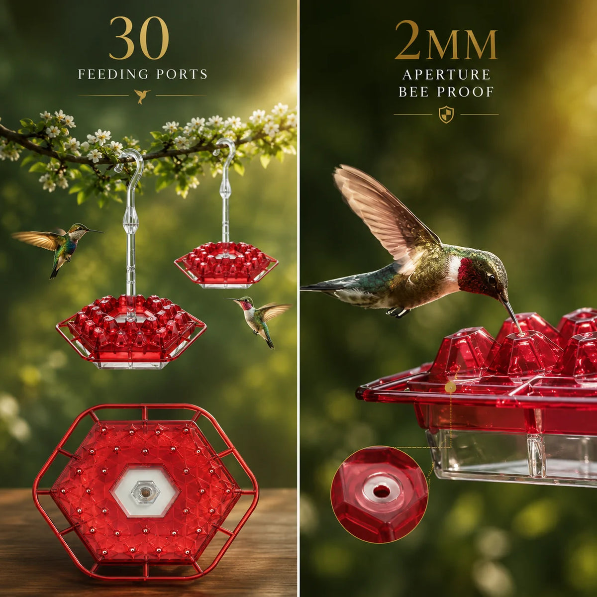 Hummingbird Feeder Ant-Proof Built-In Moat Shatterproof
