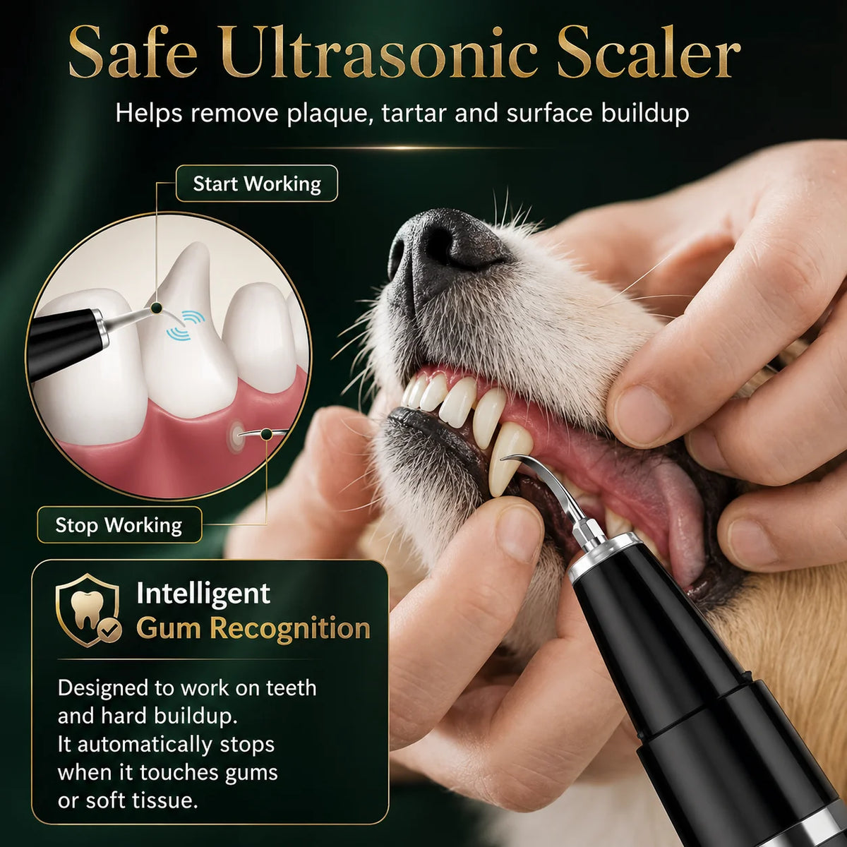 Pet Tartar Remover Ultrasonic Handheld USB Rechargeable