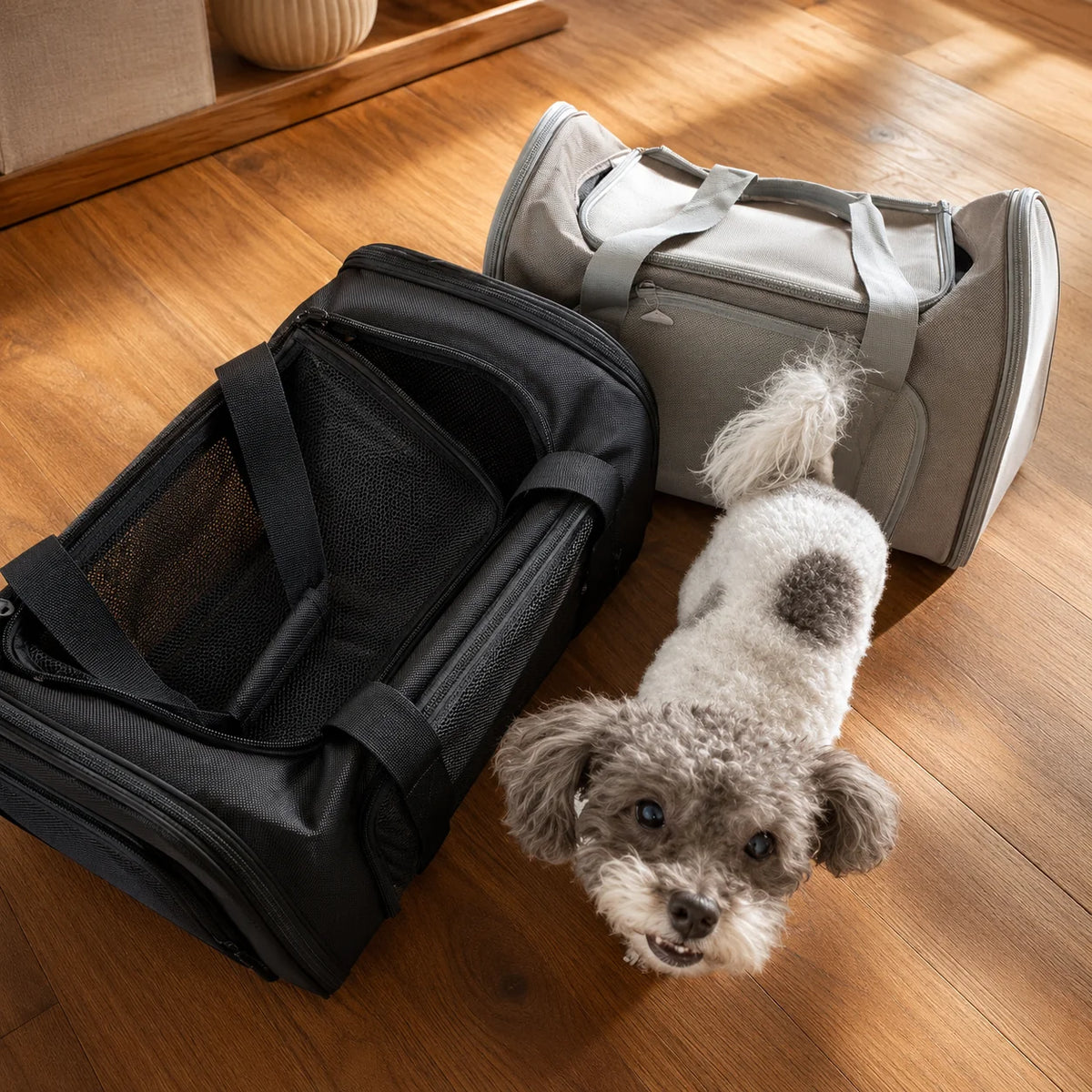 Pet Travel Carrier Airline-Approved Mesh Ventilation & Padded Mat