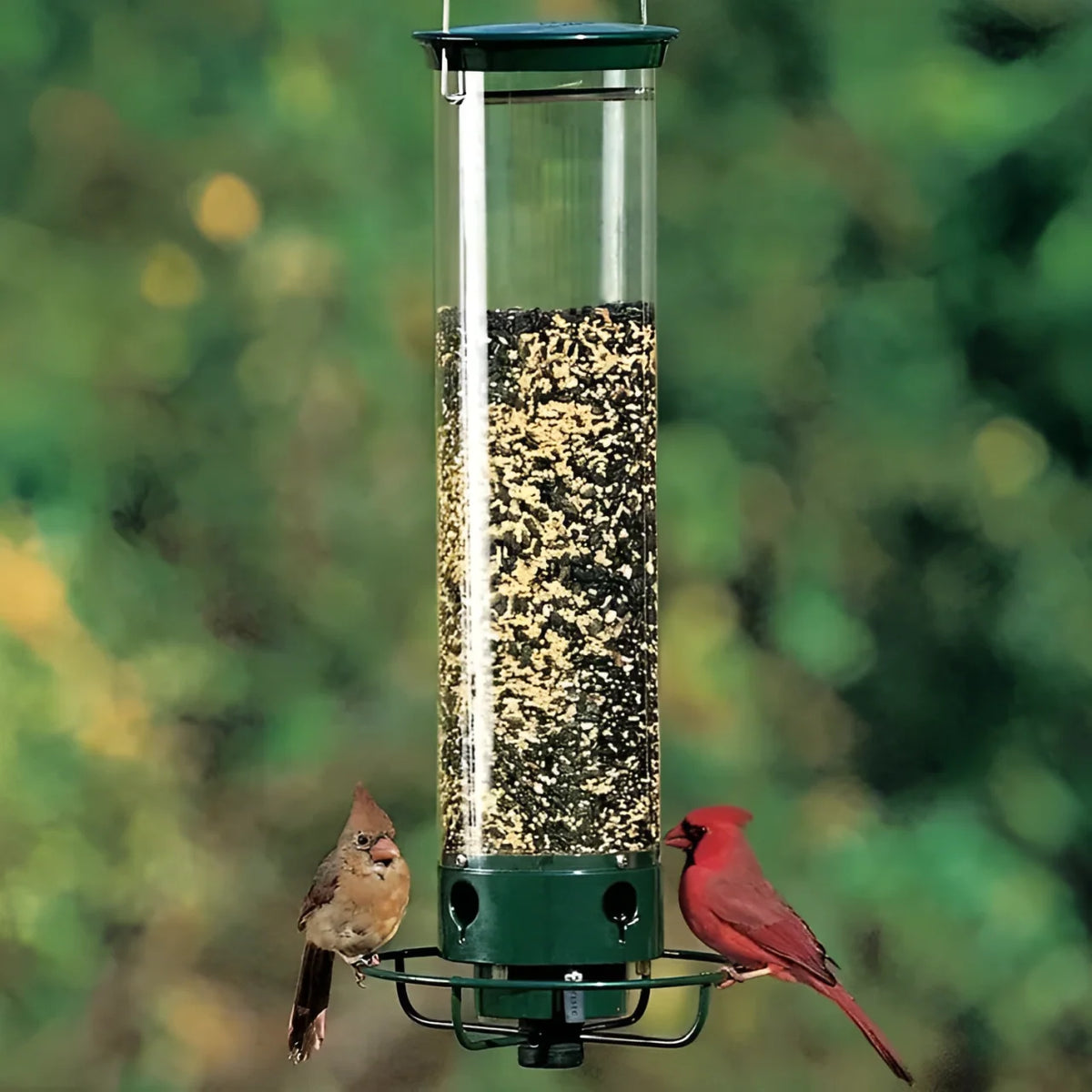 Bird Feeder Squirrel-Proof Weight-Activated 4 Feeding Ports