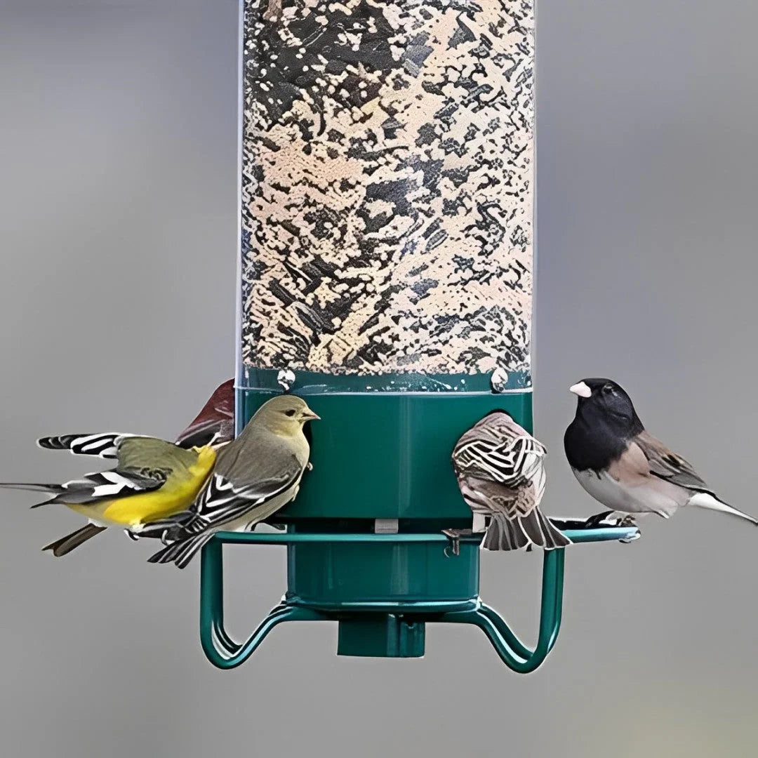 Bird Feeder Squirrel-Proof Weight-Activated 4 Feeding Ports