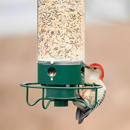 Bird Feeder Squirrel-Proof Weight-Activated 4 Feeding Ports
