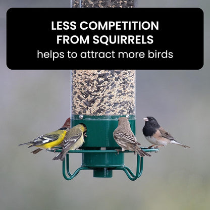 Bird Feeder Squirrel-Proof Weight-Activated 4 Feeding Ports