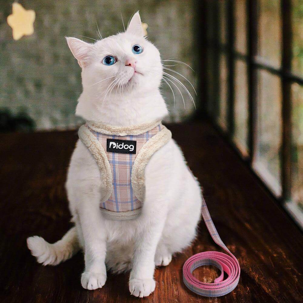 Cat Harness and Leash Padded Adjustable Double-Lock彩在线
