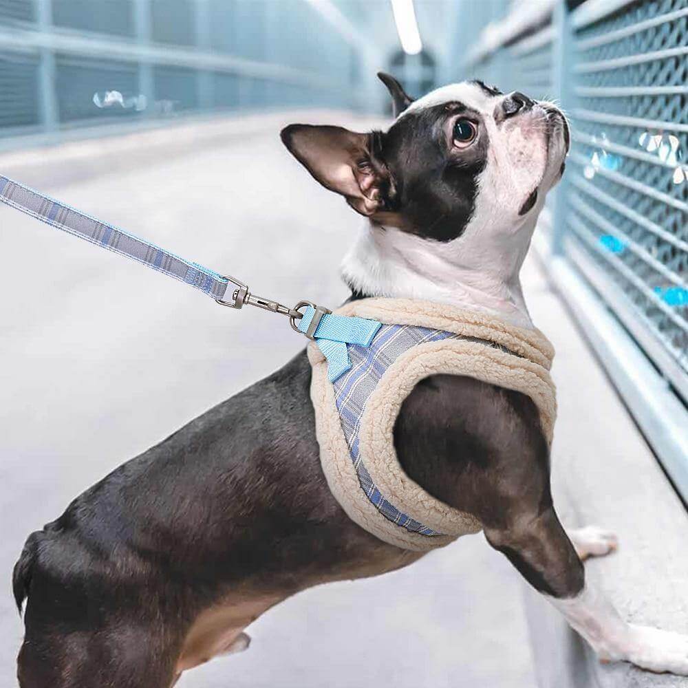 Cat Harness and Leash Padded Adjustable Double-Lock彩在线