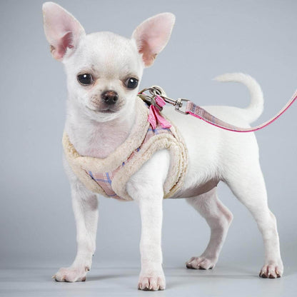 Cat Harness and Leash Padded Adjustable Double-Lock彩在线
