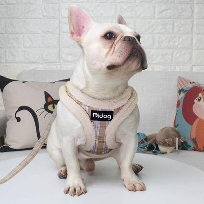 Cat Harness and Leash Padded Adjustable Double-Lock彩在线