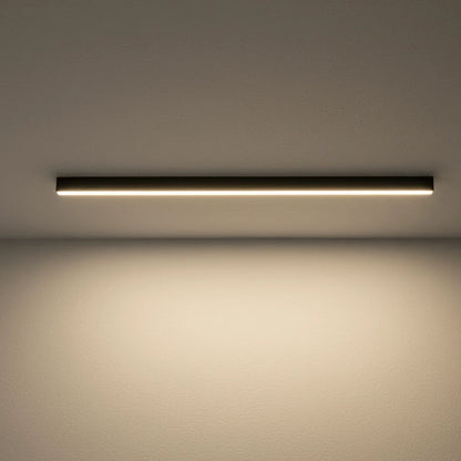 Ceiling Light Integrated LED Three Color Temperatures