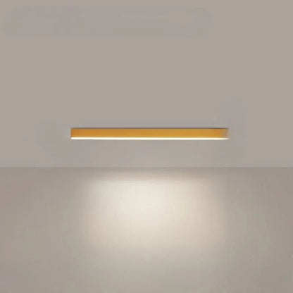 Ceiling Light Integrated LED Three Color Temperatures