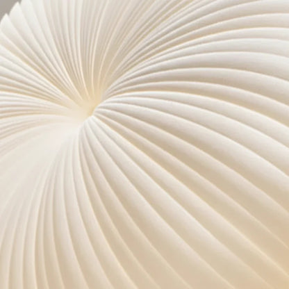 Ceiling Light Pleated Integrated Warm White LED Flush Mount
