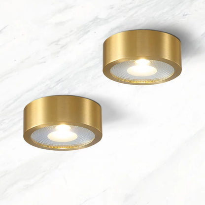 Ceiling Light Solid Copper Integrated LED