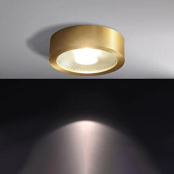 Ceiling Light Solid Copper Integrated LED