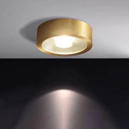 Ceiling Light Solid Copper Integrated LED