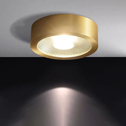 Ceiling Light Solid Copper Integrated LED