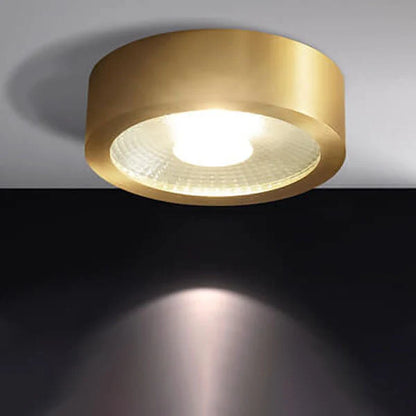 Ceiling Light Solid Copper Integrated LED