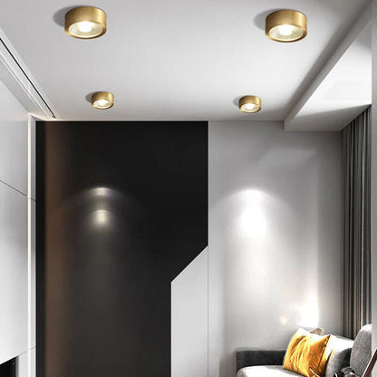 Ceiling Light Solid Copper Integrated LED