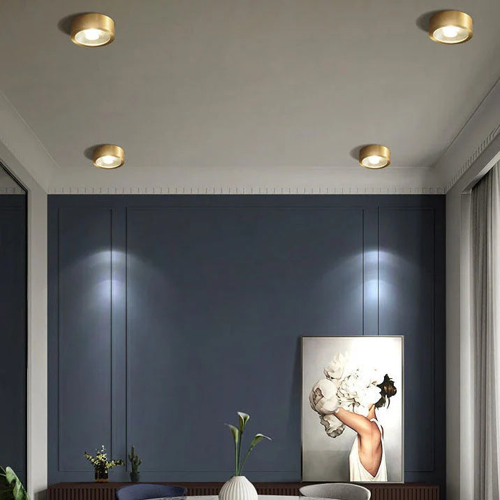 Ceiling Light Solid Copper Integrated LED