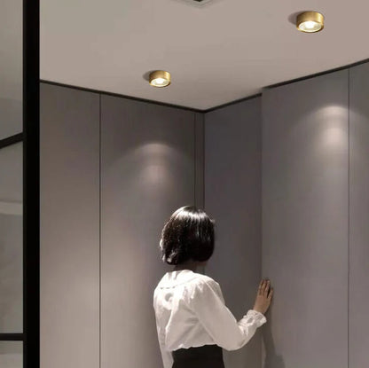 Ceiling Light Solid Copper Integrated LED