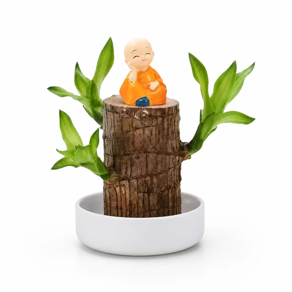 Desk Plant Air-Purifying Low-Light Wooden Planter
