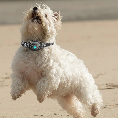 Dog Anti-Bark Collar Sound & Vibration Waterproof