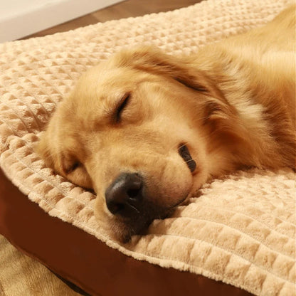 Dog Bed Orthopedic Firm Foam Removable Cover