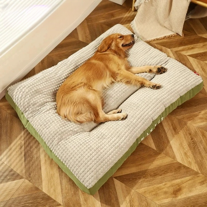 Dog Bed Orthopedic Firm Foam Removable Cover