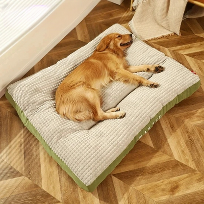 Dog Bed Orthopedic Firm Foam Removable Cover
