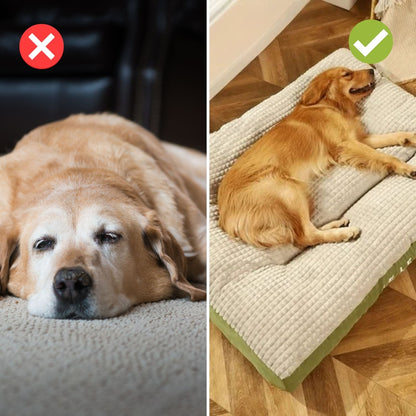 Dog Bed Orthopedic Firm Foam Removable Cover