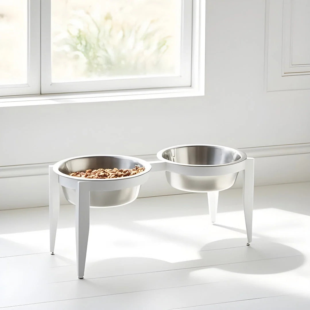 Dog Bowl Stand Elevated With Two Stainless Steel Bowls