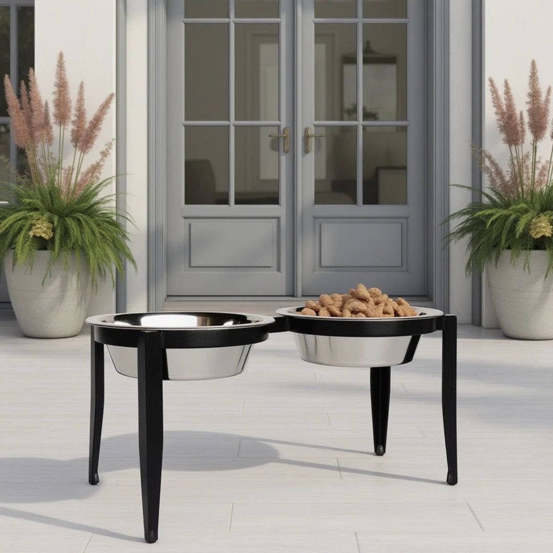 Dog Bowl Stand Elevated With Two Stainless Steel Bowls