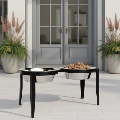 Dog Bowl Stand Elevated With Two Stainless Steel Bowls