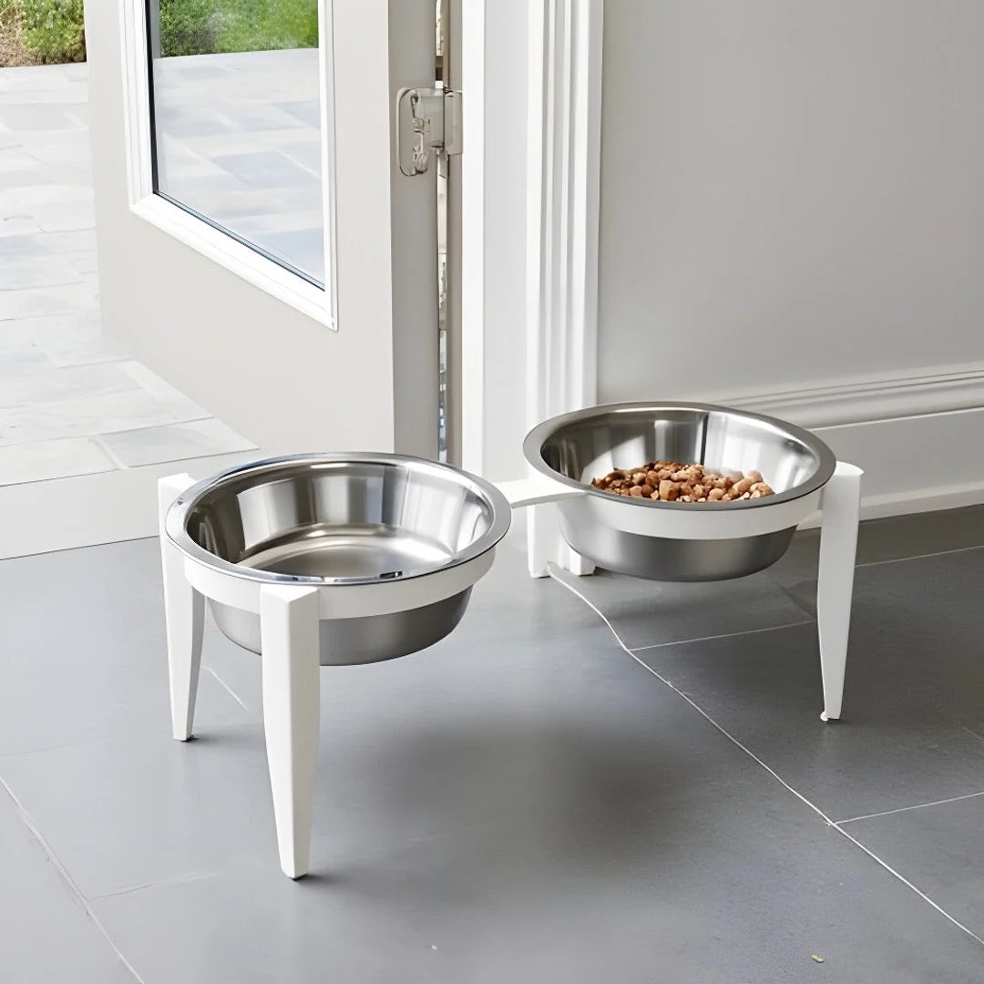Dog Bowl Stand Elevated With Two Stainless Steel Bowls