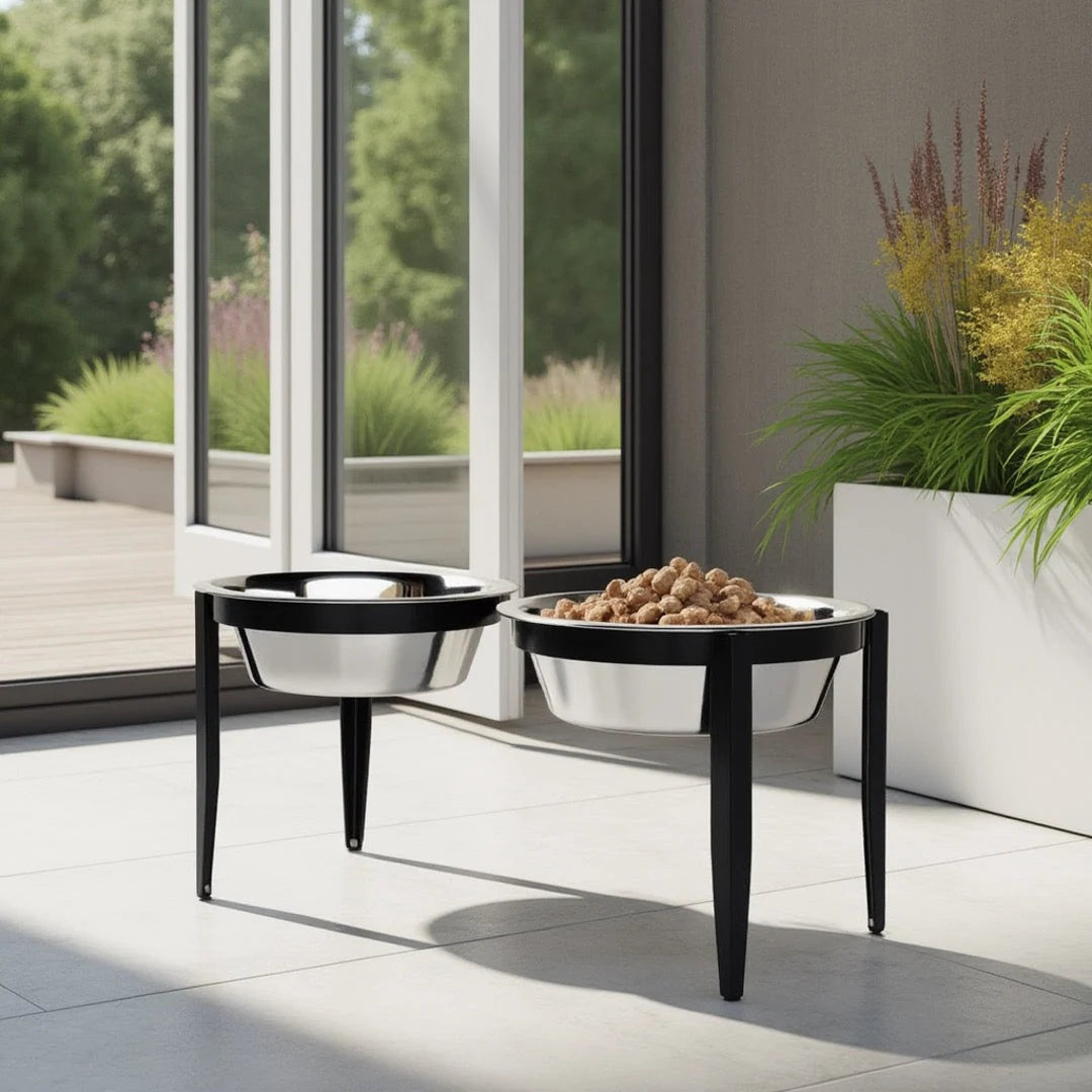 Dog Bowl Stand Elevated With Two Stainless Steel Bowls