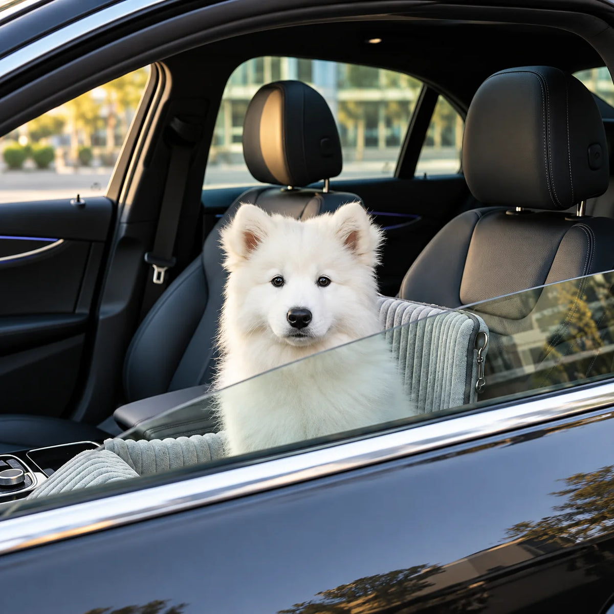 Dog Car Booster Seat Elevated Window View Plush Padded