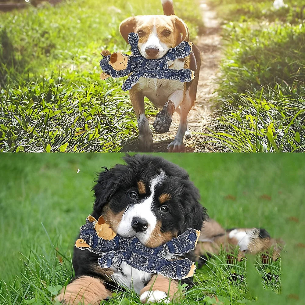 Dog Chew Toy Durable Chew-Proof Cotton Plush & Squeaker