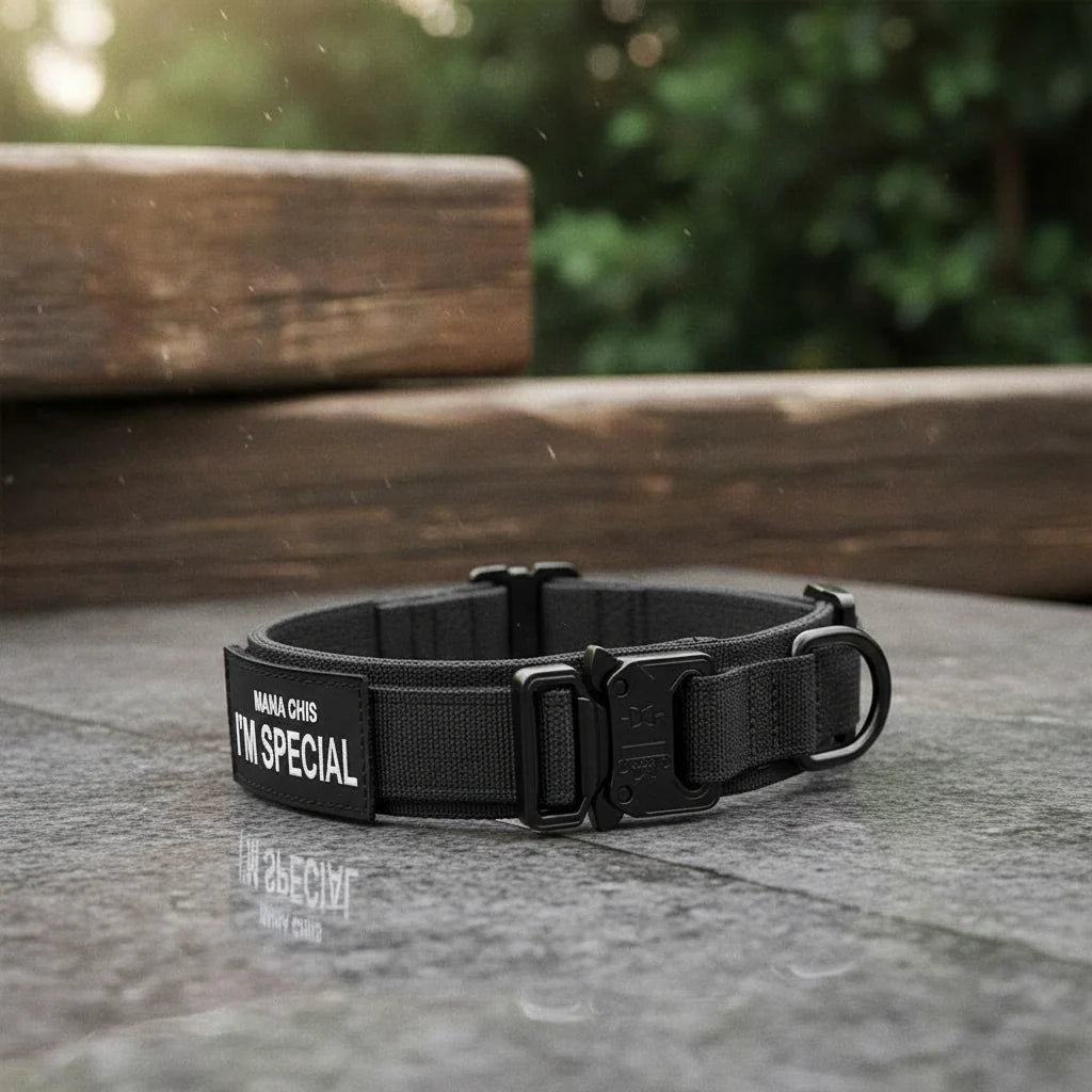 Dog Collar Adjustable Padded Nylon with Control Handle