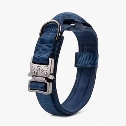 Dog Collar Adjustable Padded Nylon with Control Handle