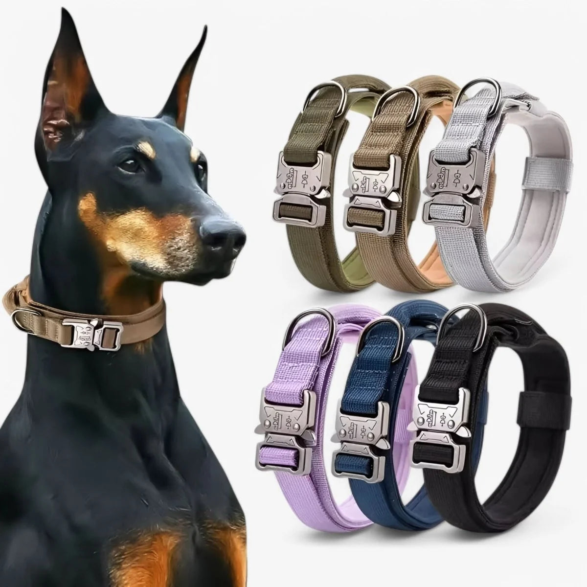 Dog Collar Adjustable Padded Nylon with Control Handle