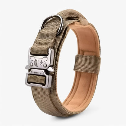 Dog Collar Adjustable Padded Nylon with Control Handle