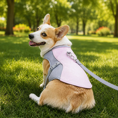 Dog Cooling Vest Three-Layer Evaporative & Breathable Mesh