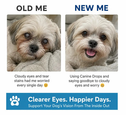 Dog Eye Support Drops Food-Additive Daily Use