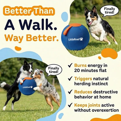 Dog Herding Ball Puncture-Resistant Cover Pump Included