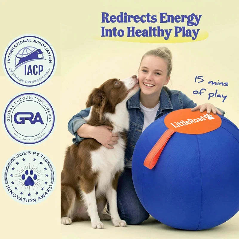 Dog Herding Ball Puncture-Resistant Cover Pump Included