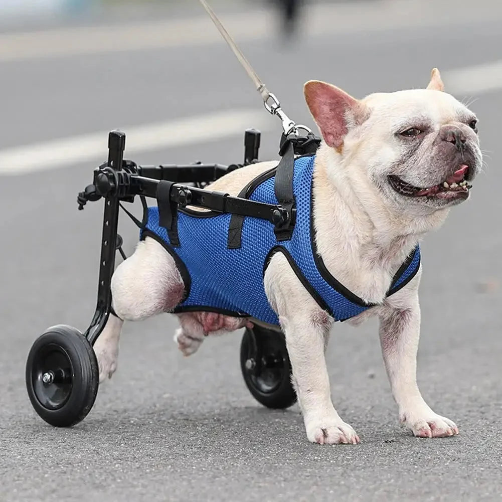 Dog Mobility Cart Ergonomic Adjustable Lightweight