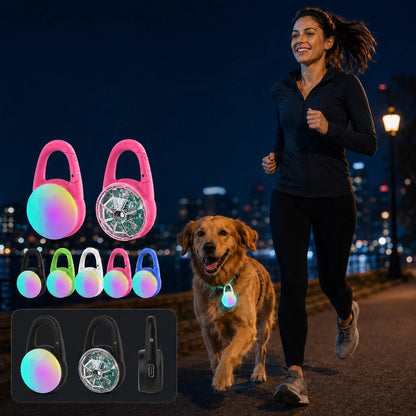 Dog Safety Light Clip-On USB-C Rechargeable IP68 Water-Resistant