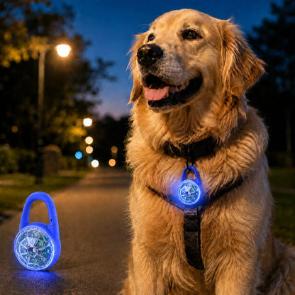 Dog Safety Light Clip-On USB-C Rechargeable IP68 Water-Resistant