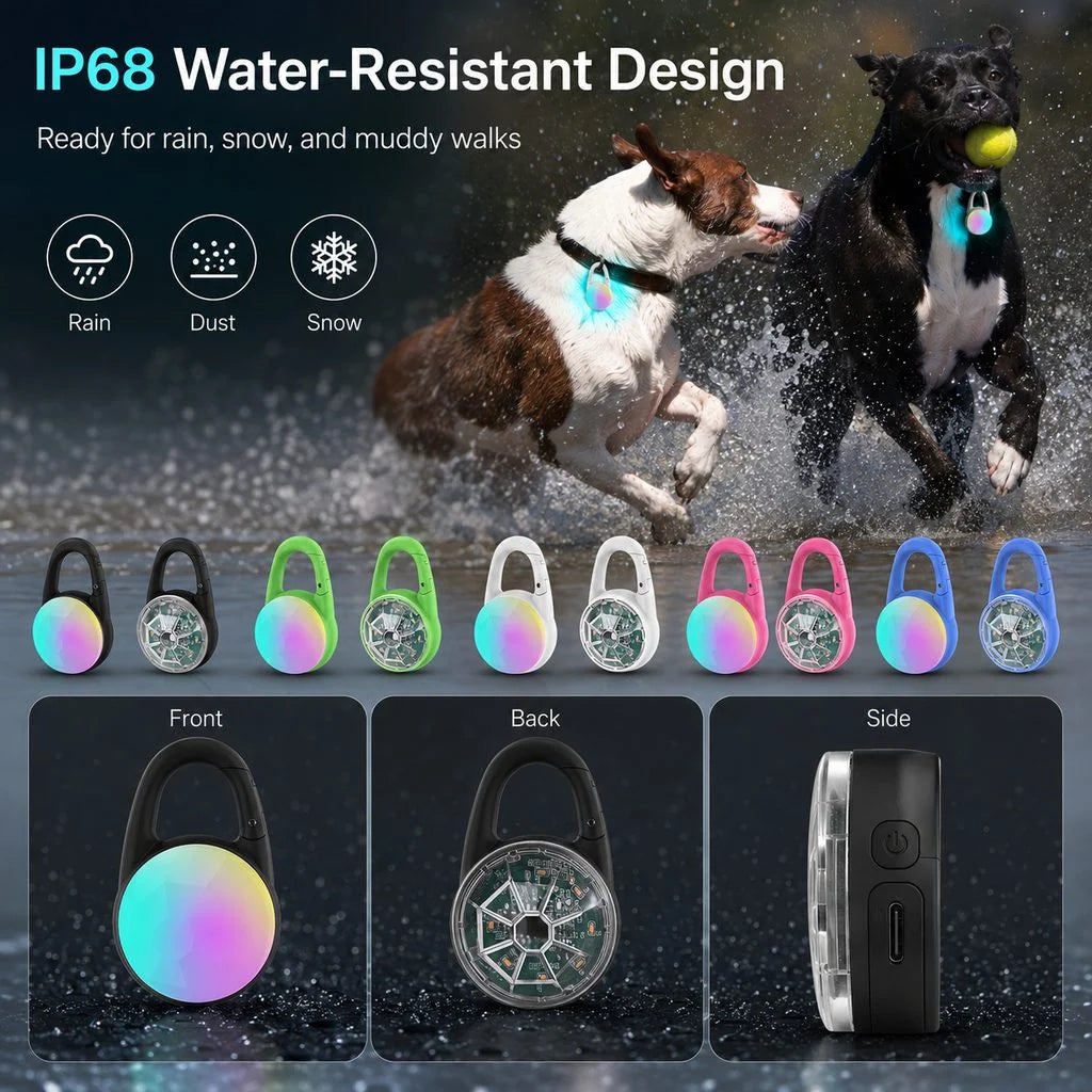 Dog Safety Light Clip-On USB-C Rechargeable IP68 Water-Resistant