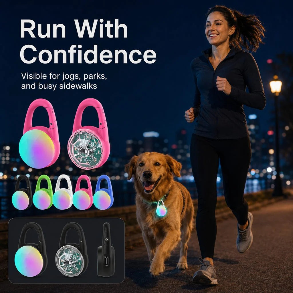 Dog Safety Light Clip-On USB-C Rechargeable IP68 Water-Resistant
