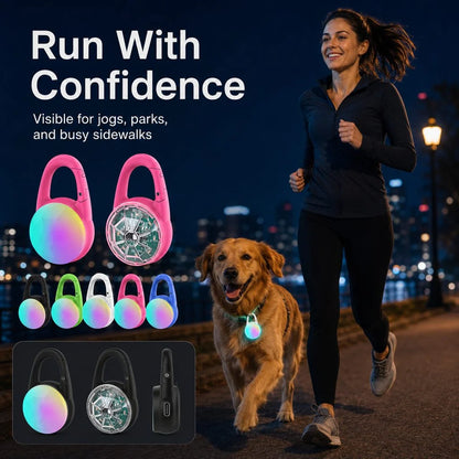 Dog Safety Light Clip-On USB-C Rechargeable IP68 Water-Resistant